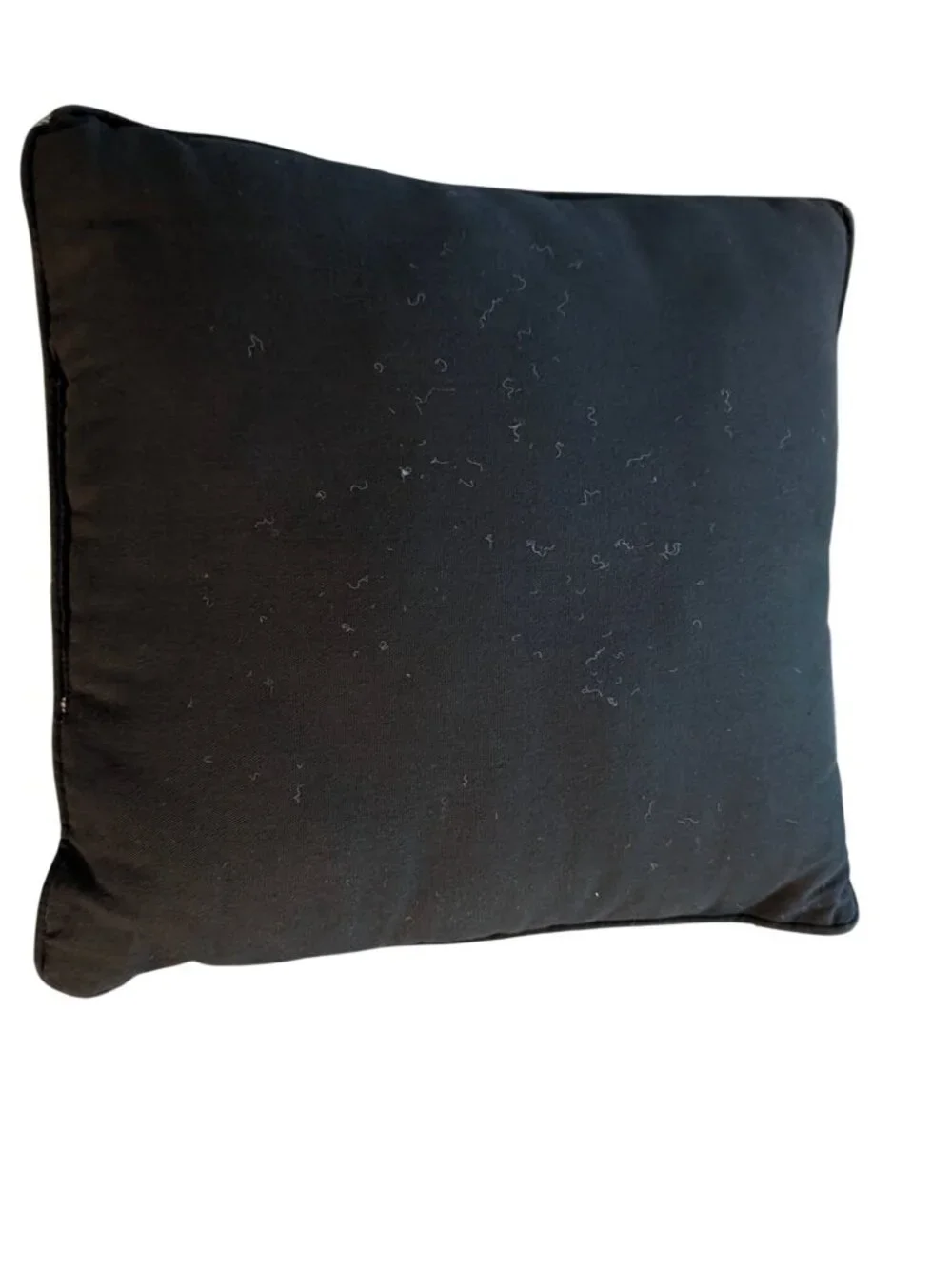 Yorkshire Terrier Tapestry Throw Pillow With Black Backing 16
